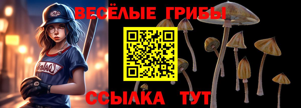 купить закладку  Псилоцибиновые грибы Cubensis  Галлюциногенные грибы мицелий  Вход с VPN  Можайск 
